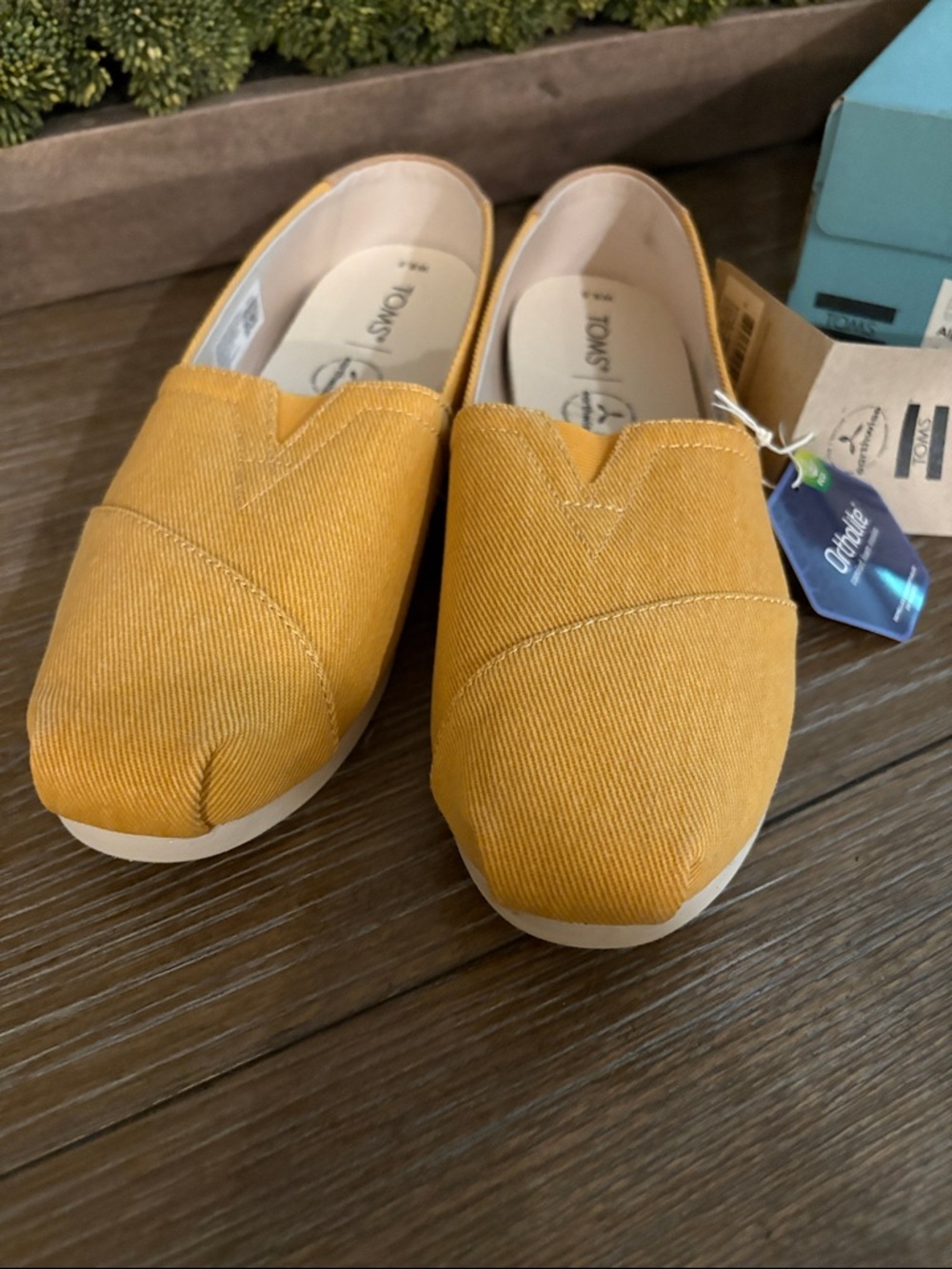Toms Slip-On Alpargata in Golden Yellow EcoDyed Twill size 8.5 NWT+box.